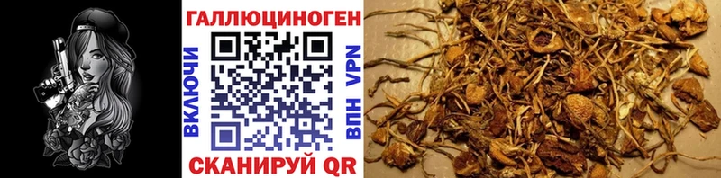Псилоцибиновые грибы ЛСД  Курск 
